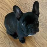 308447499_8028457987226411_3765584080883067359_n