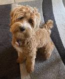 310136654_605239381390951_529892761172669682_n