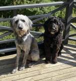 311049725_611282307453325_6982020908450012236_n