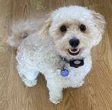 311473751_625023856079170_6801791652075959487_n