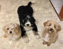 311518403_615539653694257_9135426203827339171_n