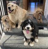 311626496_615539673694255_364128217334819788_n